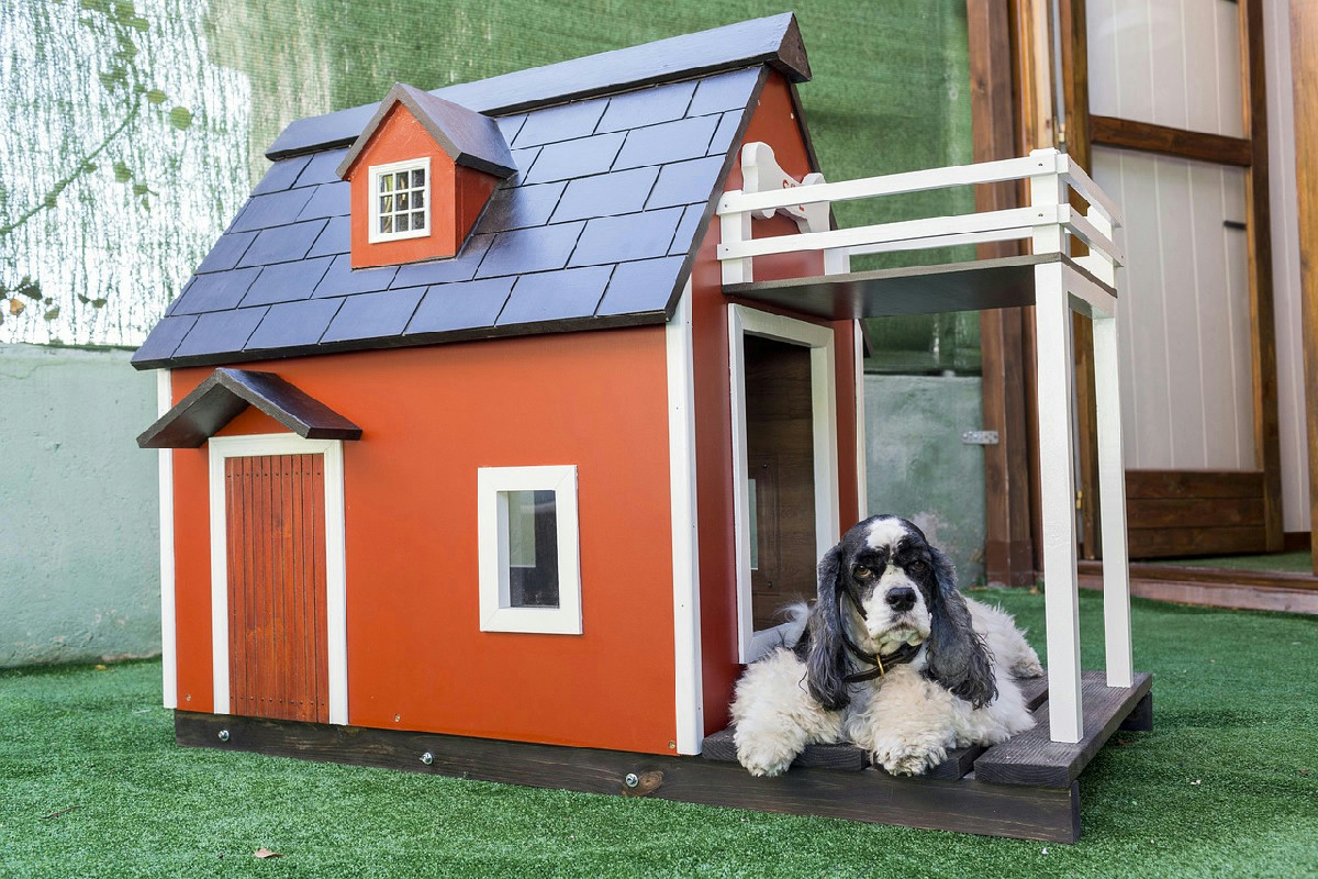 Accessori per animali, crollo delle vendite nel 2025 ma tappetini e trasportini non si fermano