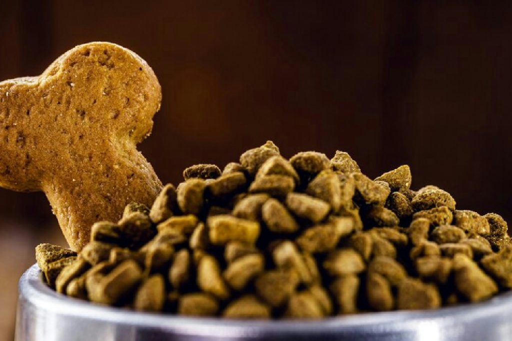 Animali domestici, la nuova frontiera dell’alimentazione: cosa scegliere davvero oggi per loro