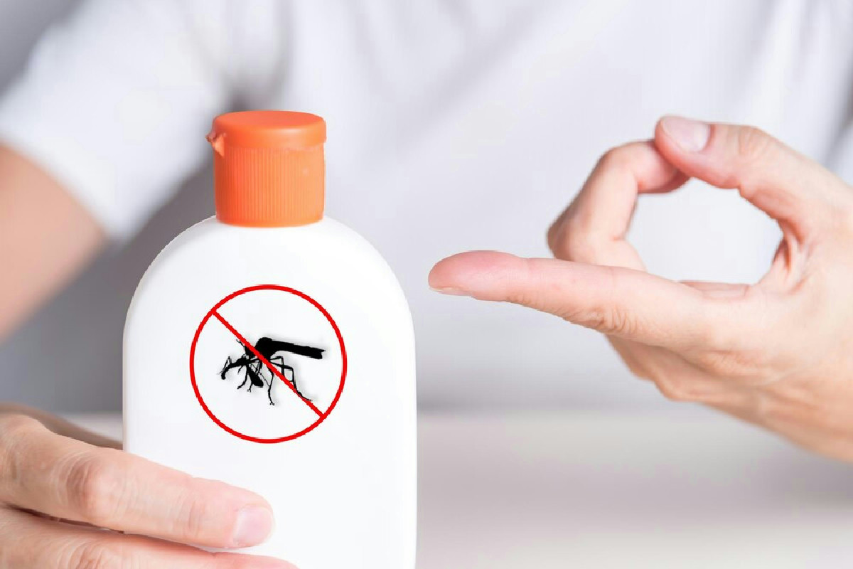 Non sai quale antiparassitario scegliere per il tuo cane? Ecco tutte le tipologie e i consigli utili